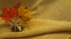 IMG_20131016_101750_047