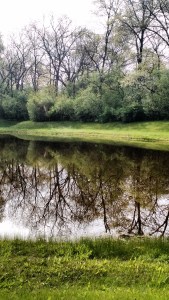 IMG_20150514_083849171